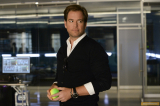Bull (2016)