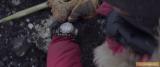 Arctic (2018)
